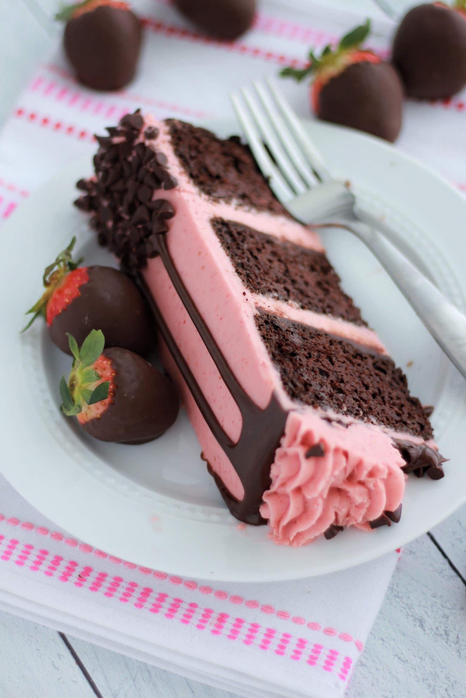 Chocolate Dipped Strawberry Cake Baking with Blondie